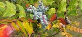Enlarge photo 43