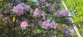Enlarge photo 34