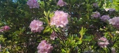 Enlarge photo 35