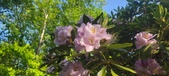Enlarge photo 36