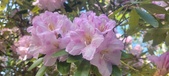 Enlarge photo 33