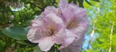 Enlarge photo 32