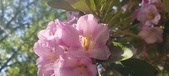 Enlarge photo 25