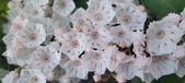 Enlarge photo 90