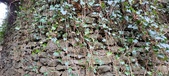 Enlarge photo 35