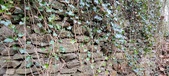 Enlarge photo 33