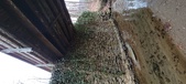 Enlarge photo 37