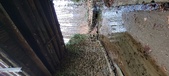 Enlarge photo 36