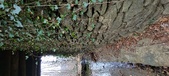 Enlarge photo 43
