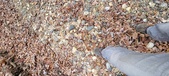 Enlarge photo 42