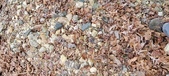 Enlarge photo 41