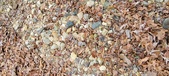 Enlarge photo 40