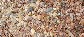Enlarge photo 47