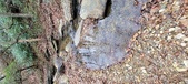 Enlarge photo 46