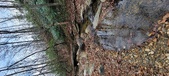 Enlarge photo 45