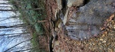Enlarge photo 44