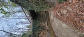 Enlarge photo 51