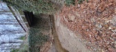 Enlarge photo 50