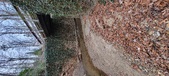 Enlarge photo 49