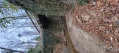 Enlarge photo 55