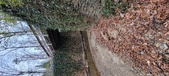 Enlarge photo 54