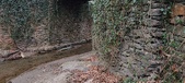 Enlarge photo 53