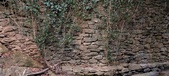 Enlarge photo 59