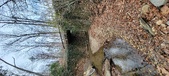 Enlarge photo 58