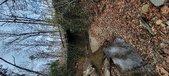 Enlarge photo 57