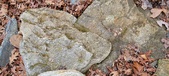 Enlarge photo 62