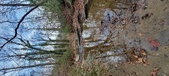Enlarge photo 67