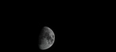 Enlarge photo 41