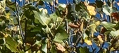 Enlarge photo 59