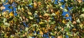 Enlarge photo 63
