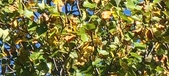 Enlarge photo 64
