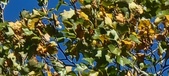 Enlarge photo 74