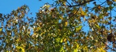 Enlarge photo 72