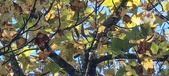 Enlarge photo 75