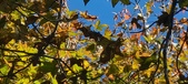 Enlarge photo 82