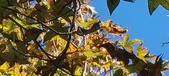 Enlarge photo 80
