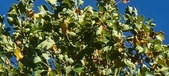 Enlarge photo 86