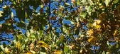 Enlarge photo 84