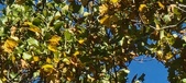Enlarge photo 83