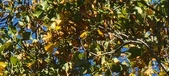 Enlarge photo 90