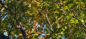 Enlarge photo 89