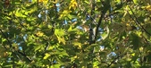 Enlarge photo 88
