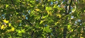 Enlarge photo 87