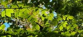 Enlarge photo 99