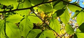Enlarge photo 104