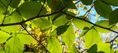 Enlarge photo 103
